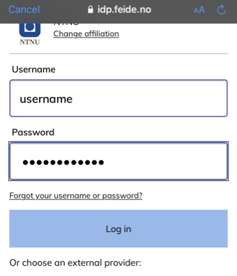 FEIDE-portal where you will log in with NTNU username and password