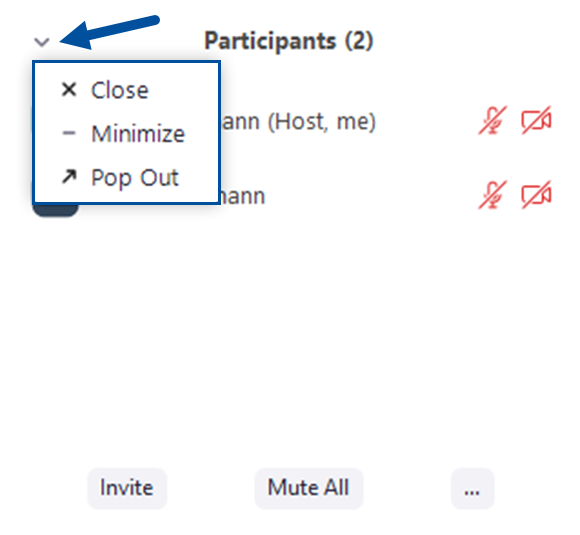 Image of the participants popup menu. An arrow is pointing to a small, grey arrow in the top left of the window that opens a menu allowing you to close, minimize, or pop the window out.