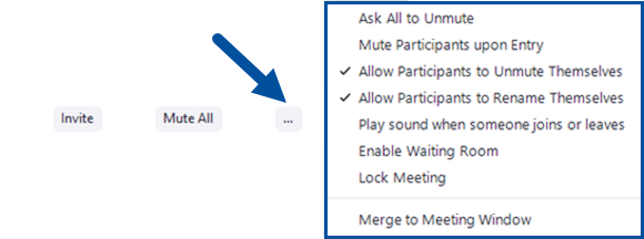 An arrow is pointing at a button that reads "...", which allows you to find more options that apply to all participants in the meeting.