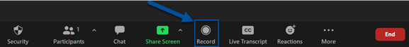 An image with an arrow pointing to the location of the record button on the toolbar