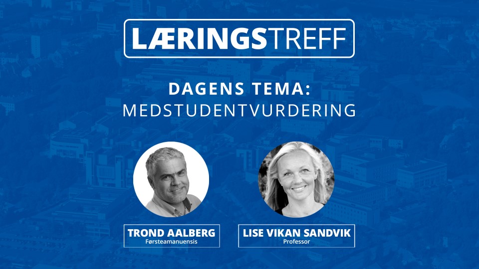 bilde av bidragsholdere på læringstreff. Trond Aaberg og Lise Vikan Sandvik.